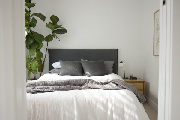 Jackson Headboard - Queen/King