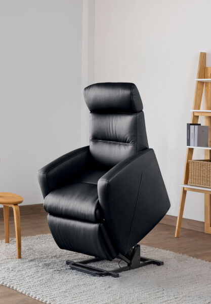 IMG® Divani Multi-Functional Lift Power Recliner MF225 - Medium 