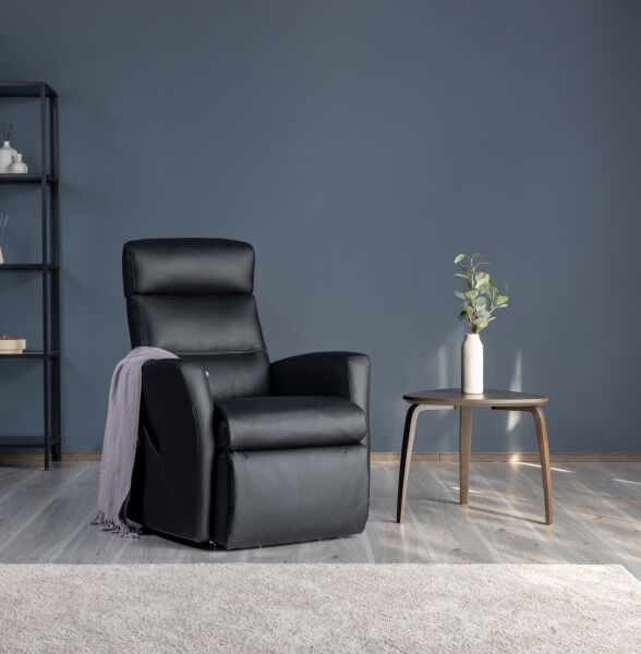 IMG® Divani Multi-Functional Lift Power Recliner MF225 - Medium 