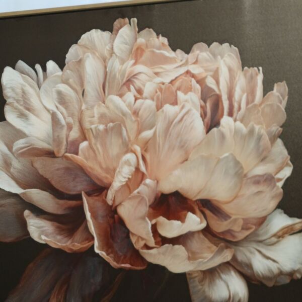 Product preview image