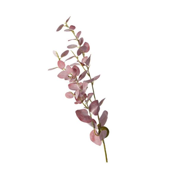 Blush Eucalyptus Spray Stem &ndash; 80cm