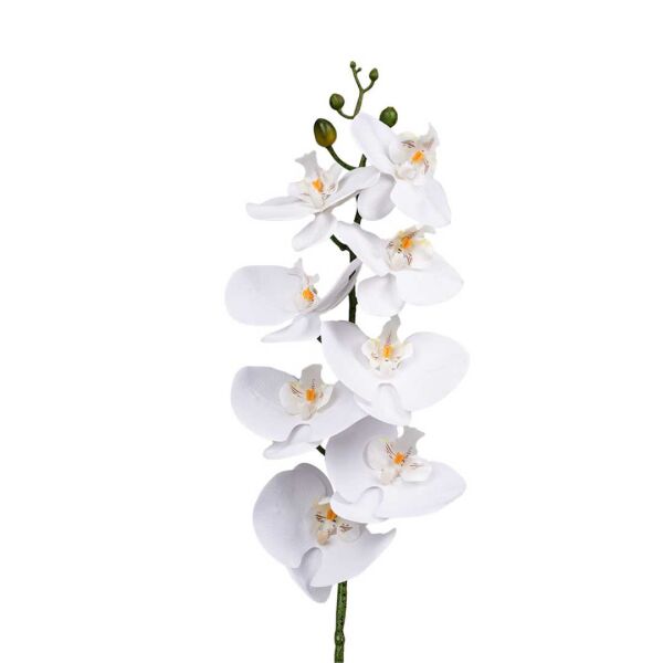 Phalaenopsis Orchid White - 86cm