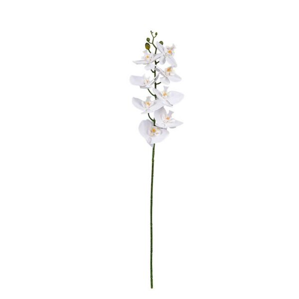 Product preview image