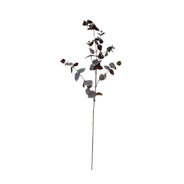 Eucalyptus Spray Brown - 86cm