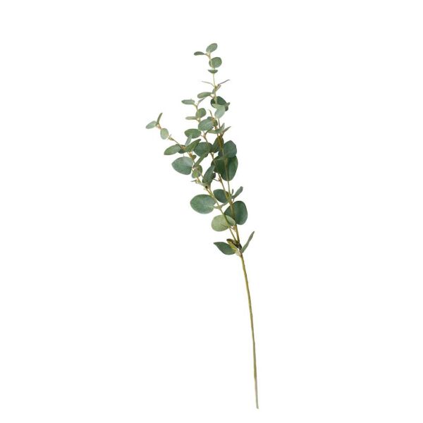 Product preview image