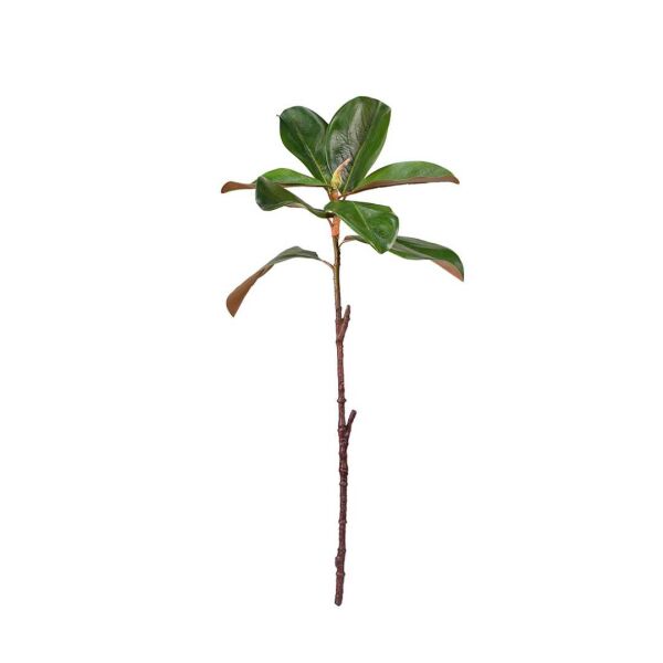 Magnolia Leaf Spray - 59cm