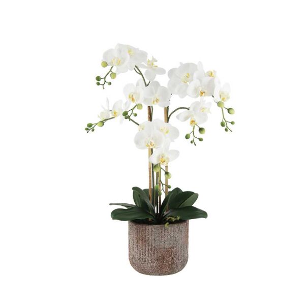Phalaenopsis Orchid Arrangement with Rustic Pot - White 66cm