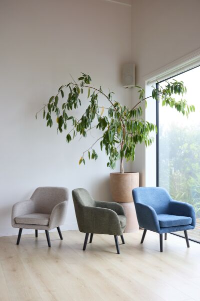 Donna Arm Chair  